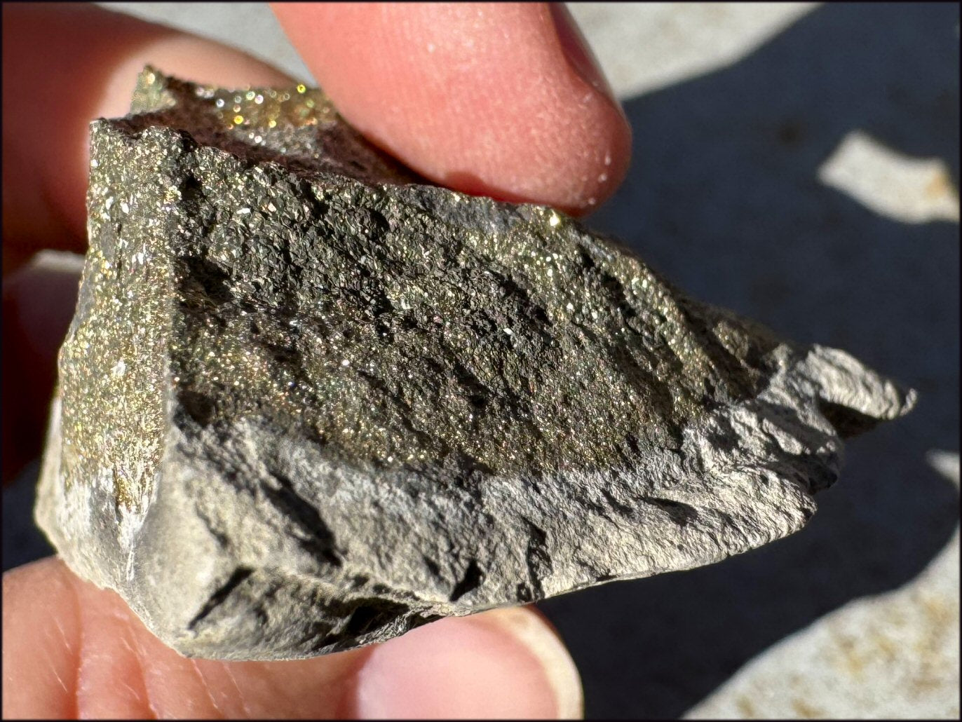 Druzy Pyrite on Septaria from Volga River - Protection, Stability