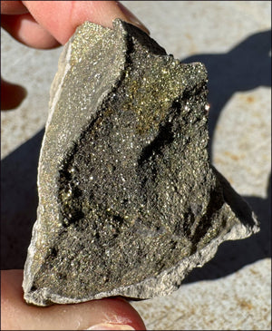 Druzy Pyrite on Septaria from Volga River - Protection, Stability