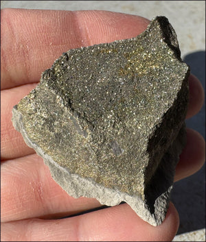 Druzy Pyrite on Septaria from Volga River - Protection, Stability