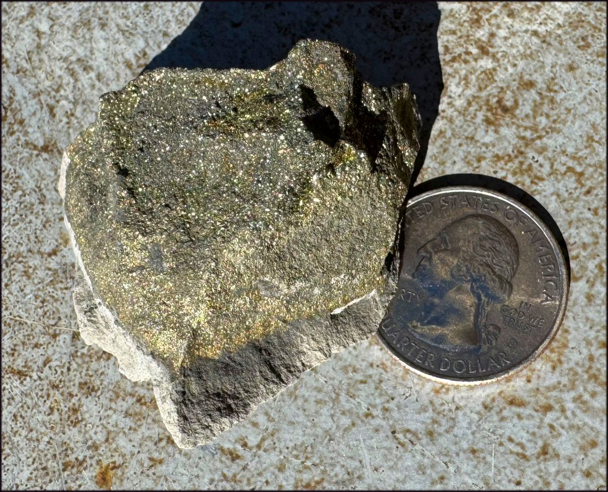 Druzy Pyrite on Septaria from Volga River - Protection, Stability
