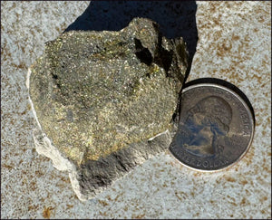 Druzy Pyrite on Septaria from Volga River - Protection, Stability