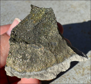 Druzy Pyrite on Septaria from Volga River - Protection, Stability