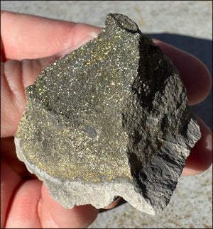 Druzy Pyrite on Septaria from Volga River - Protection, Stability