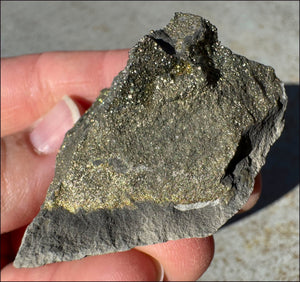 Druzy Pyrite on Septaria from Volga River - Protection, Stability