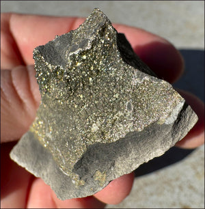 Druzy Pyrite on Septaria from Volga River - Protection, Stability