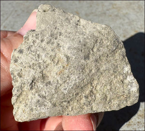 Druzy Pyrite on Septaria from Volga River - Protection, Stability