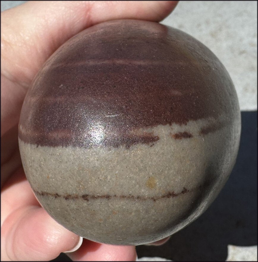 2XL Shiva Lingham Stone from India - Stone of Oneness