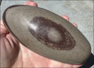 2XL Shiva Lingham Stone from India - Stone of Oneness