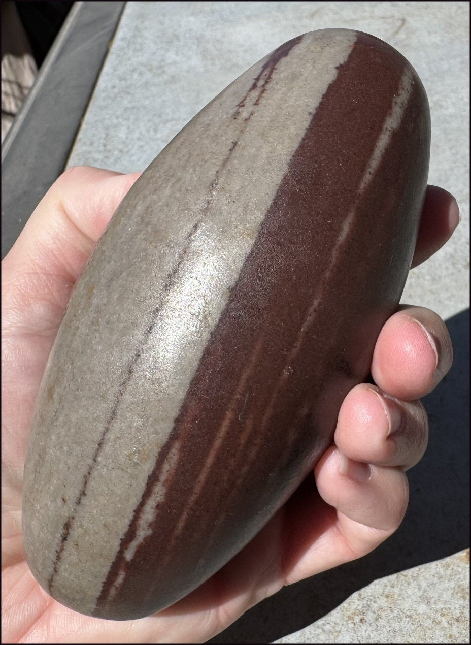 2XL Shiva Lingham Stone from India - Stone of Oneness
