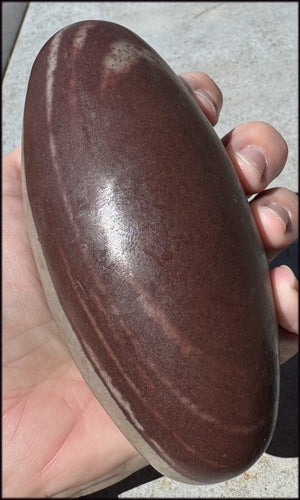 2XL Shiva Lingham Stone from India - Stone of Oneness
