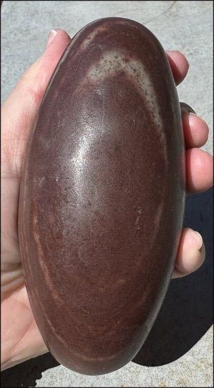 2XL Shiva Lingham Stone from India - Stone of Oneness