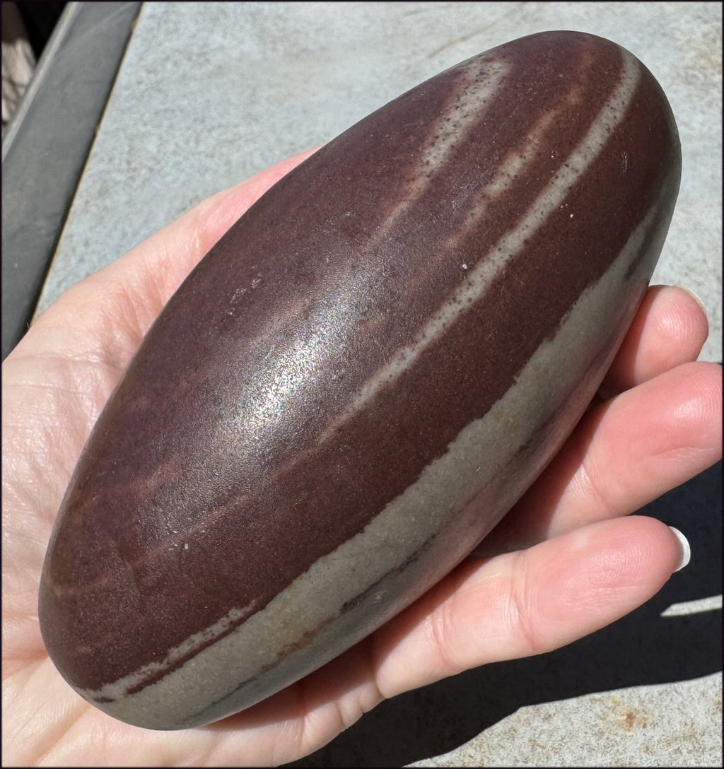 2XL Shiva Lingham Stone from India - Stone of Oneness