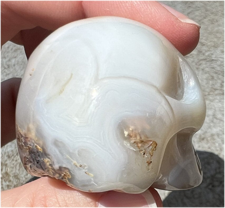 Dendritic Agate CRYSTAL SKULL with Weird Plumes, Vugs!