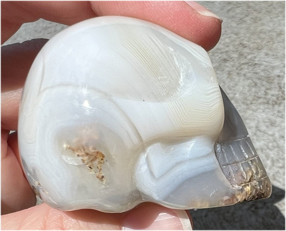 Dendritic Agate CRYSTAL SKULL with Weird Plumes, Vugs!