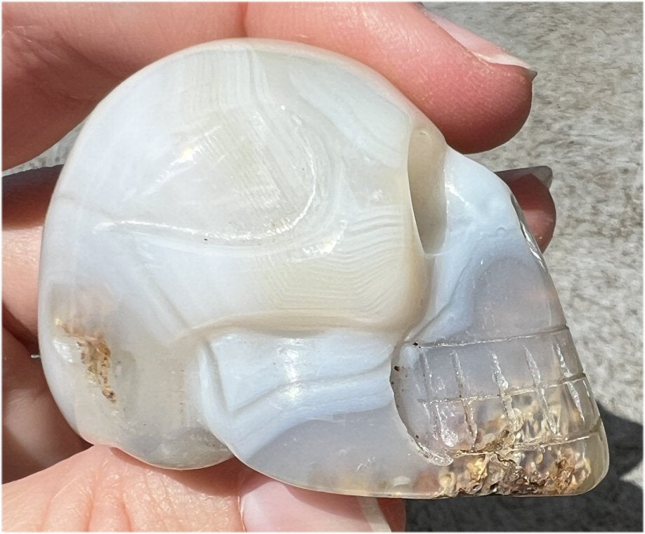Dendritic Agate CRYSTAL SKULL with Weird Plumes, Vugs!