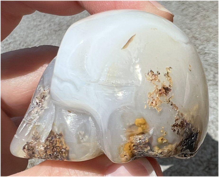 Dendritic Agate CRYSTAL SKULL with Weird Plumes, Vugs!