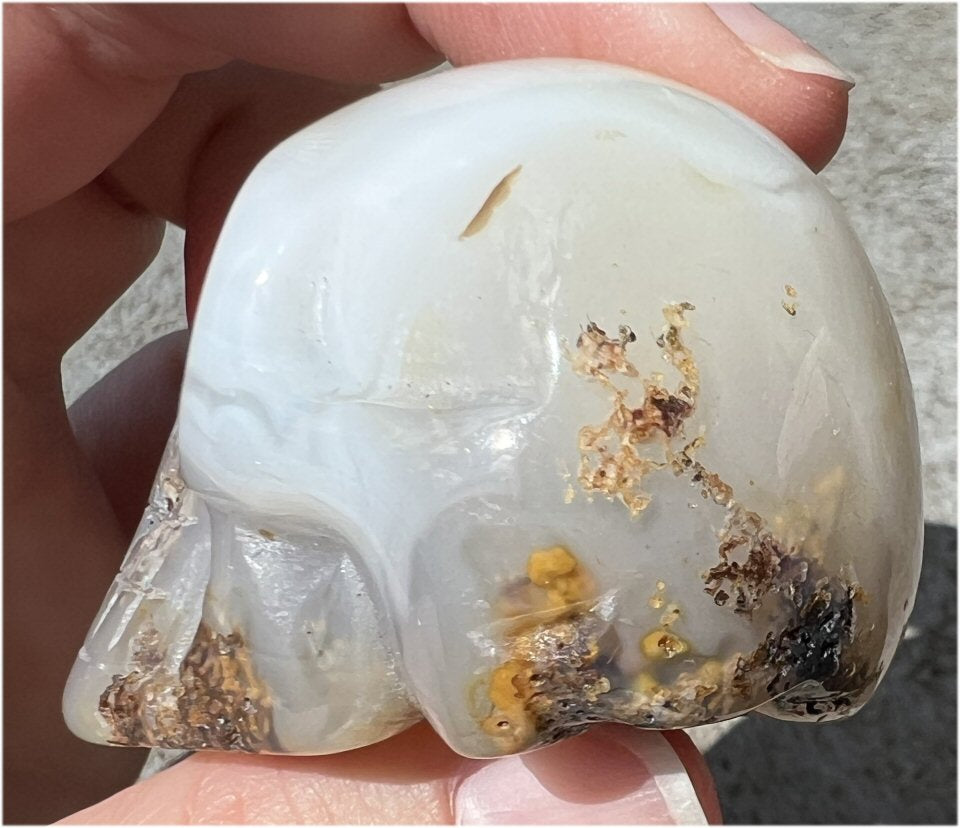 Dendritic Agate CRYSTAL SKULL with Weird Plumes, Vugs!