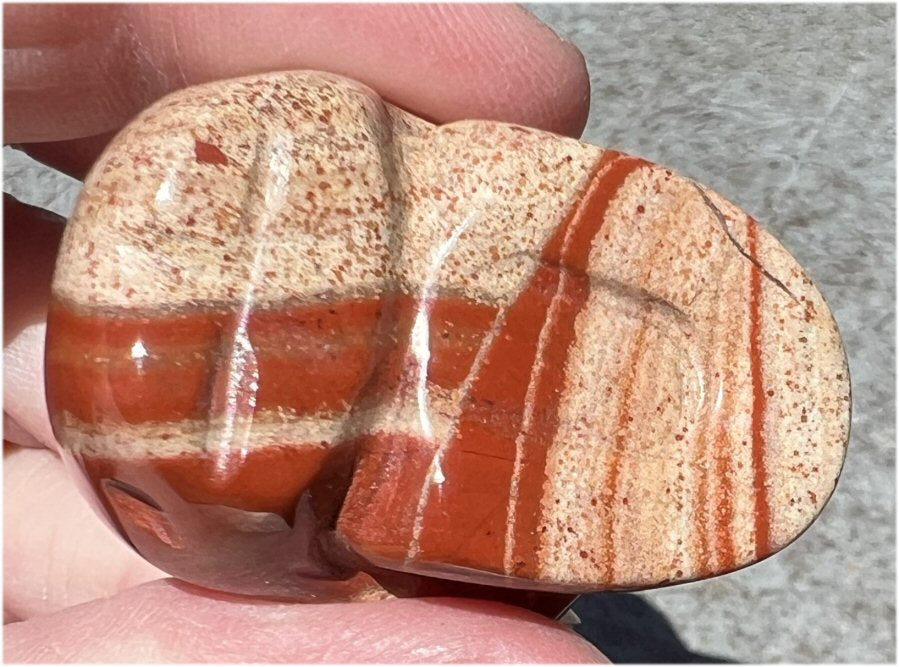 Red Spiral Jasper CRYSTAL SKULL - Promote focus and clarity, 1st Chakra work