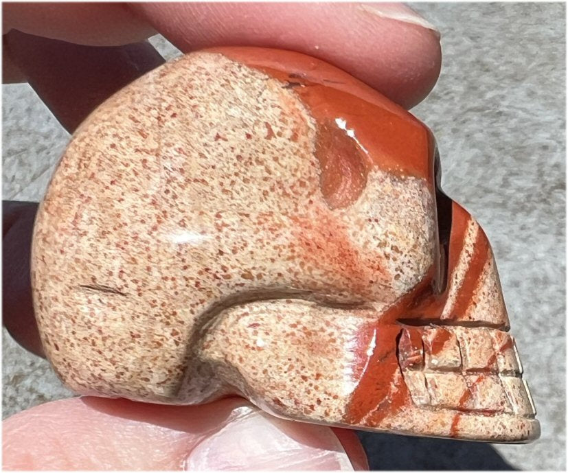 Red Spiral Jasper CRYSTAL SKULL - Promote focus and clarity, 1st Chakra work