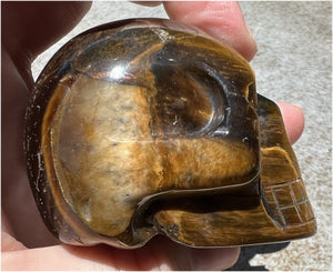 ~Stunning~ Natural Blue AND Golden Tiger's Eye Crystal Skull