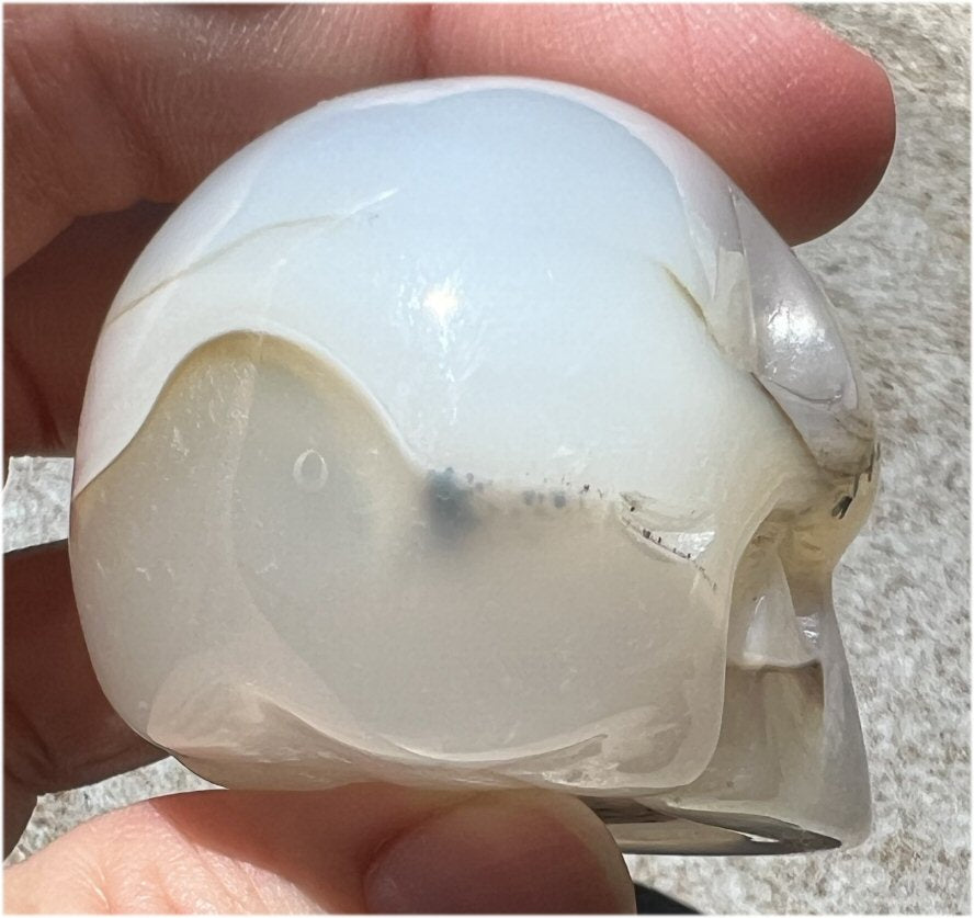 Dendritic Agate CRYSTAL SKULL with Bi-colored Dendritic inclusions