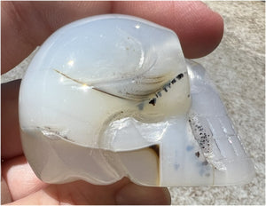 Dendritic Agate CRYSTAL SKULL with Bi-colored Dendritic inclusions