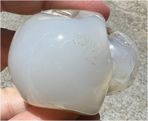 Dendritic Agate CRYSTAL SKULL with Bi-colored Dendritic inclusions