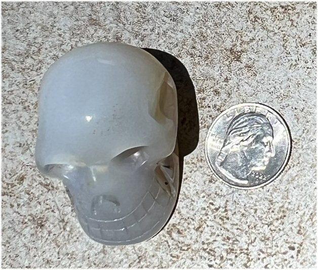 Dendritic Agate CRYSTAL SKULL with Bi-colored Dendritic inclusions