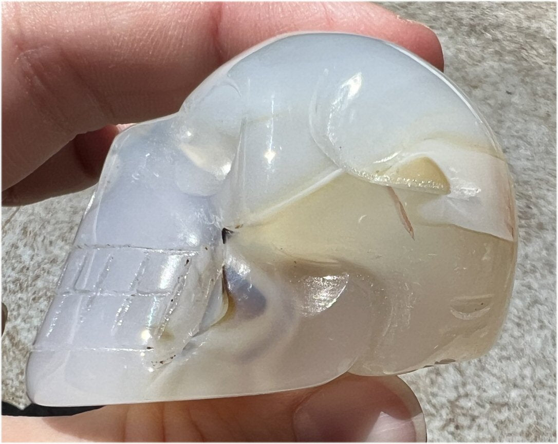 Dendritic Agate CRYSTAL SKULL with Bi-colored Dendritic inclusions