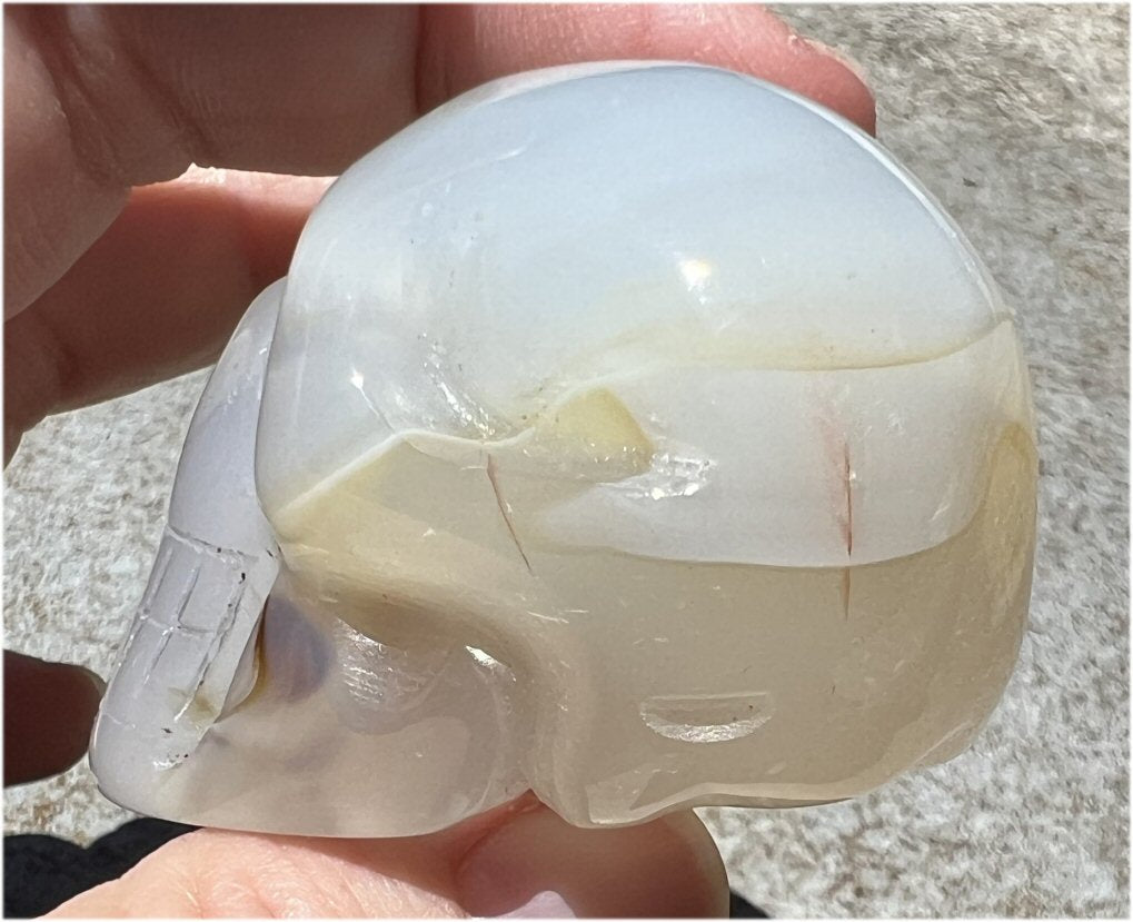 Dendritic Agate CRYSTAL SKULL with Bi-colored Dendritic inclusions