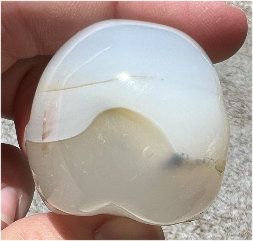 Dendritic Agate CRYSTAL SKULL with Bi-colored Dendritic inclusions