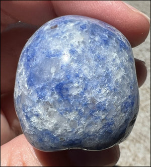 Dumortierite CRYSTAL SKULL - Balance Throat Chakra, Communication