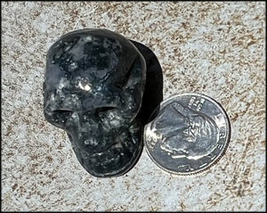 Moss Agate CRYSTAL SKULL - Abundance, Stone of Gardeners, Heart Chakra