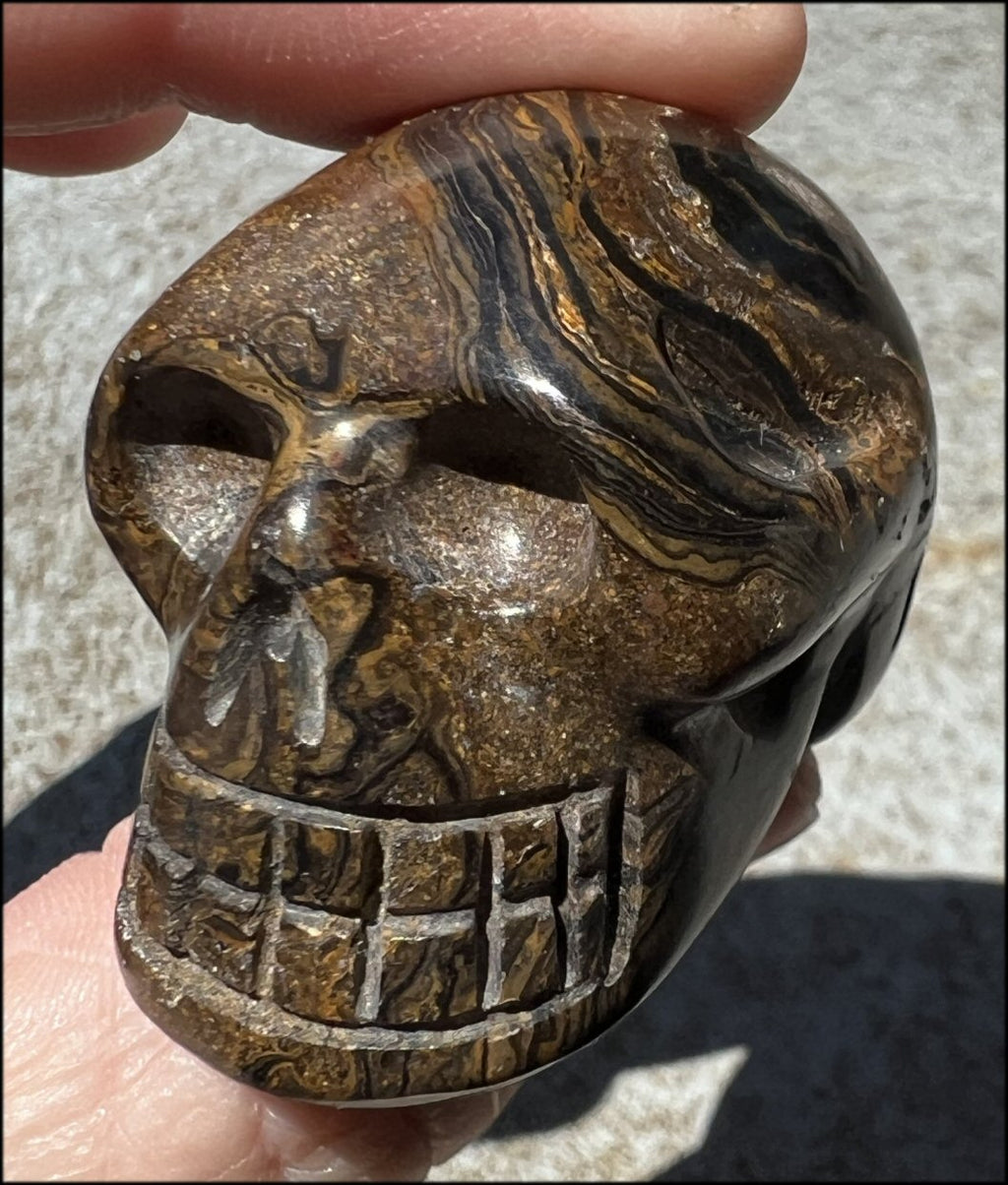 Stromatolite Fossil Stone CRYSTAL SKULL - Open to change, Root Chakra