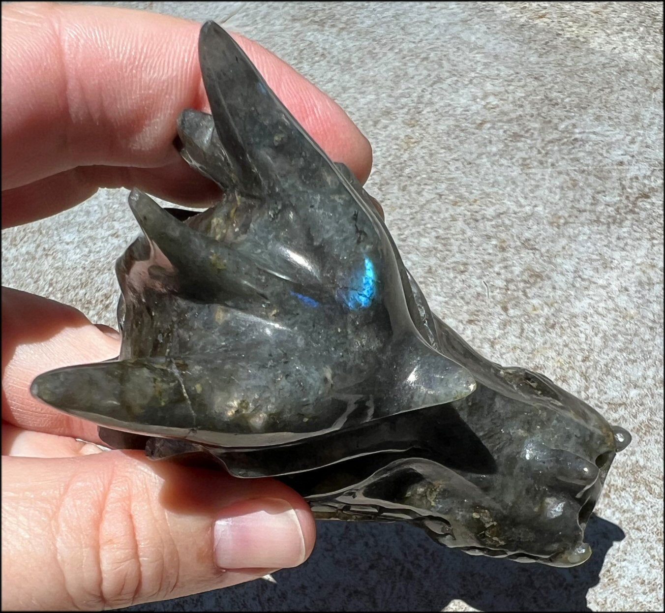 Labradorite DRAGON Crystal Skull - Remember the magic!