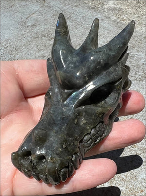 Labradorite DRAGON Crystal Skull - Remember the magic!