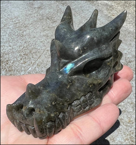 Labradorite DRAGON Crystal Skull - Remember the magic!