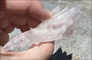 Rose Quartz PHOENIX Crystal Skull - Self-Acceptance, Heart Chakra