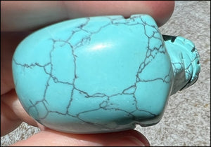Sky Blue Turquoise HOWLITE Crystal Skull - Calm Communication, Memory