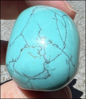 Sky Blue Turquoise HOWLITE Crystal Skull - Calm Communication, Memory
