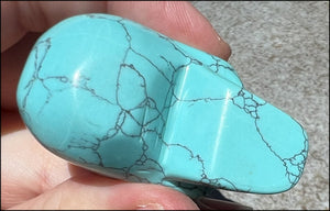 Sky Blue Turquoise HOWLITE Crystal Skull - Calm Communication, Memory