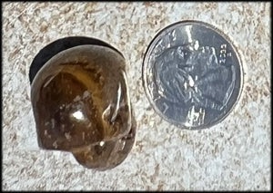 ~Flashy~ Small Golden Tiger Eye CRYSTAL SKULL - Let go of judgements