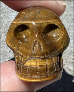 ~Flashy~ Small Golden Tiger Eye CRYSTAL SKULL - Let go of judgements