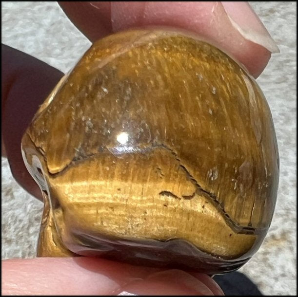 ~Flashy~ Small Golden Tiger Eye CRYSTAL SKULL - Let go of judgements