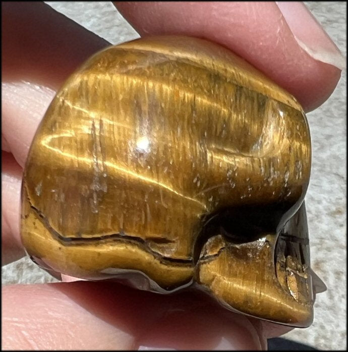 ~Flashy~ Small Golden Tiger Eye CRYSTAL SKULL - Let go of judgements