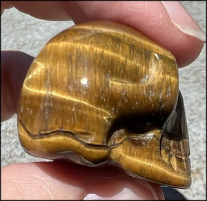 ~Flashy~ Small Golden Tiger Eye CRYSTAL SKULL - Let go of judgements