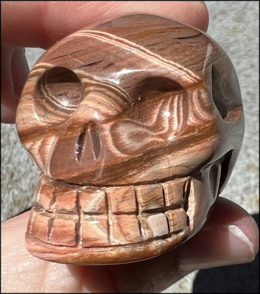 Red Spiral Jasper CRYSTAL SKULL - Promote Focus + Clarity