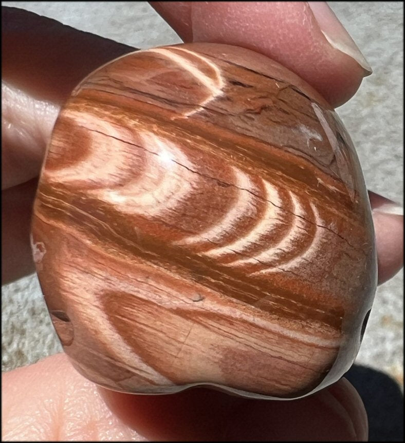 Red Spiral Jasper CRYSTAL SKULL - Promote Focus + Clarity