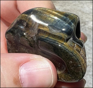 ~Unusual~ Natural Blue AND Golden Tiger Eye CRYSTAL SKULL