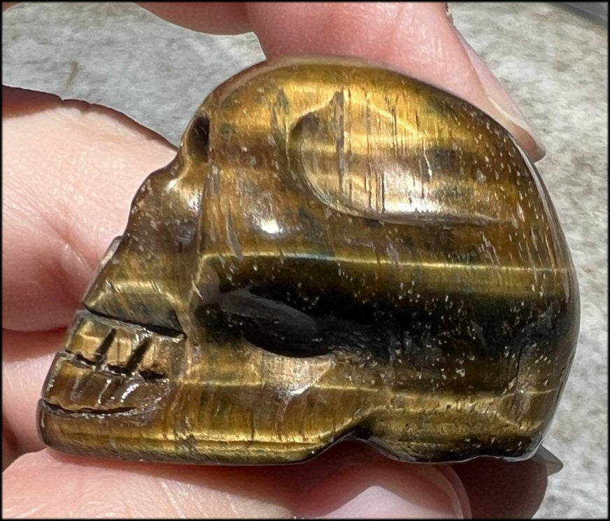 ~Unusual~ Natural Blue AND Golden Tiger Eye CRYSTAL SKULL